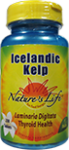 Icelandic Kelp