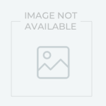 Green Tea Matcha Bulk Tea Organic