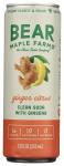 Ginger Citrus Clean Soda with Ginseng