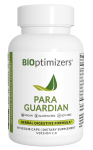 Para Guardian