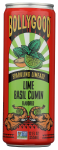 Lime Basil Cumin Sparkling Limeade