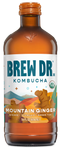 Kombucha Ginger Turmeric