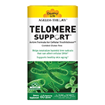 Telomere Support