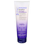 2chic Shampoo For Damaged Over-Processed Hair Blackberry + Coconut Milk