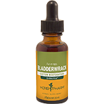 Bladderwrack Extract