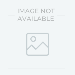 Healthy Brain All Day Focus