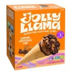 Caramel Chocolate Chip Cone