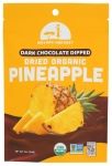 Organic Dried Pineapple Dipped in Dark Chocolate