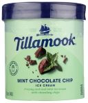 Ice Cream Mint Chocolate Chip