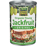 Jackfruit Organic Young Original