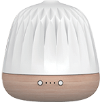 Cera Barocco Essential Oil Diffuser