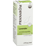 Essential Oil Lavender