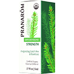 Strength Diffusion Blend