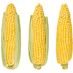 Prepack Organic Sweet Corn 3 pk