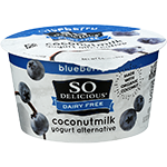 Coconutmilk Yogurt Blueberry