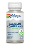 Bacillus Coagulans