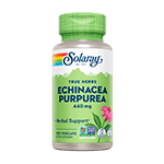 Echinacea Purpurea Root