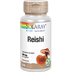 Reishi Mushroom
