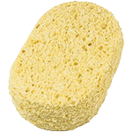 Sponge Body Big Squeeze