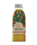 Agua Fresca Mango Ginger