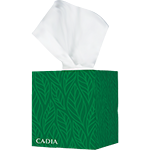 100% Recycled Facial Tissue