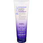 2chic Shampoo For Damaged Over-Processed Hair Blackberry + Coconut Milk