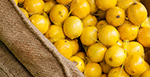 Conventional Bagged Lemons
