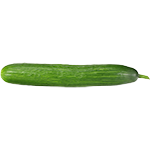 Organic Seedless Cucumber