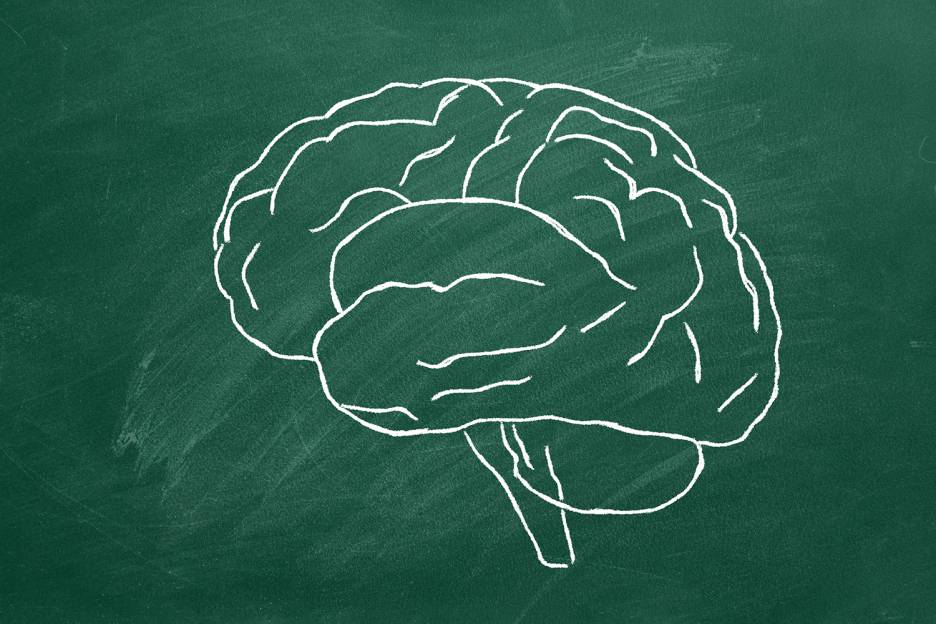 Brain Care 101