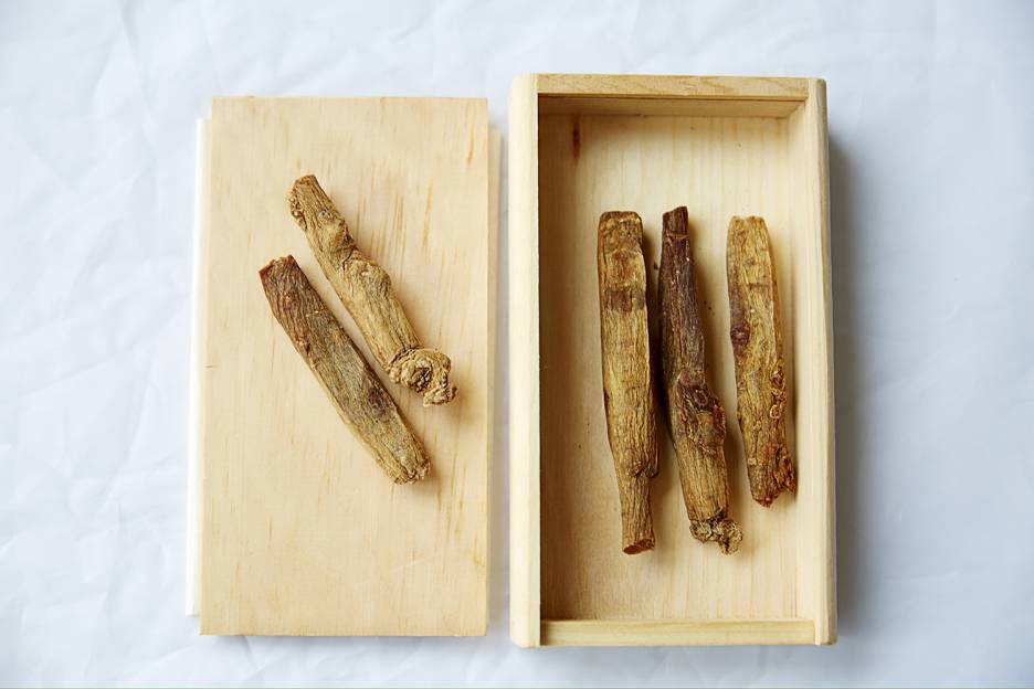 Ginseng, the Herb of Power and Longevity