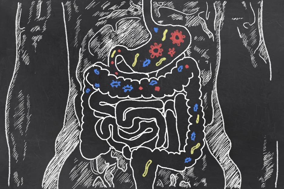Good For Your Gut