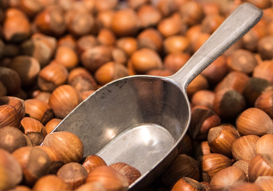 Eating a Handful of Nuts Daily Reduces Disease Risk