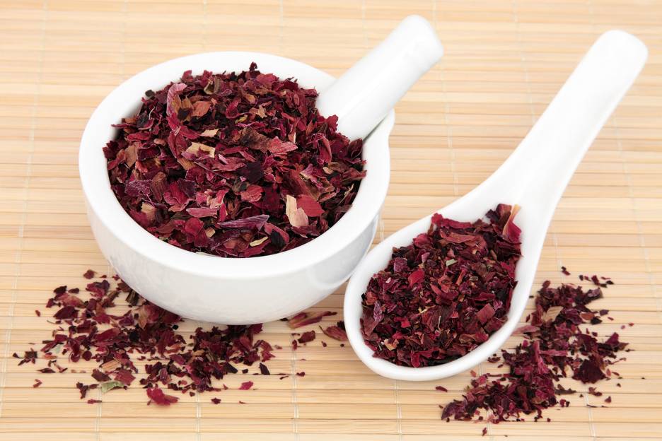 The Healing Power of Herbs