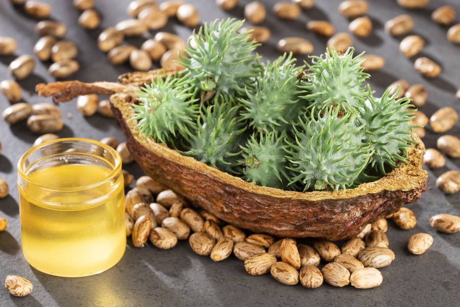 How to Use Castor Oil Packs