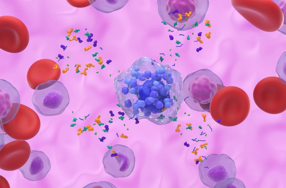 Mast Cell Activation Syndrome