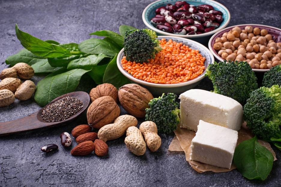 Non-Meat Protein Sources