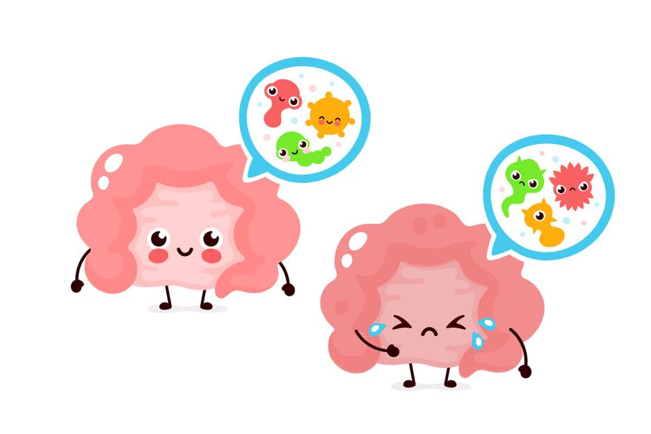 Probiotics FAQ