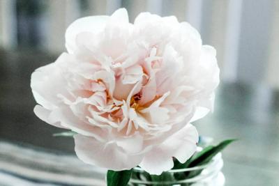 Natural Ways to Balance Hormones