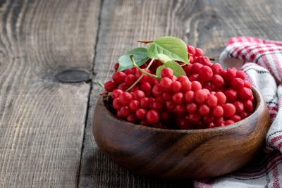 Nootropics for Memory and Focus